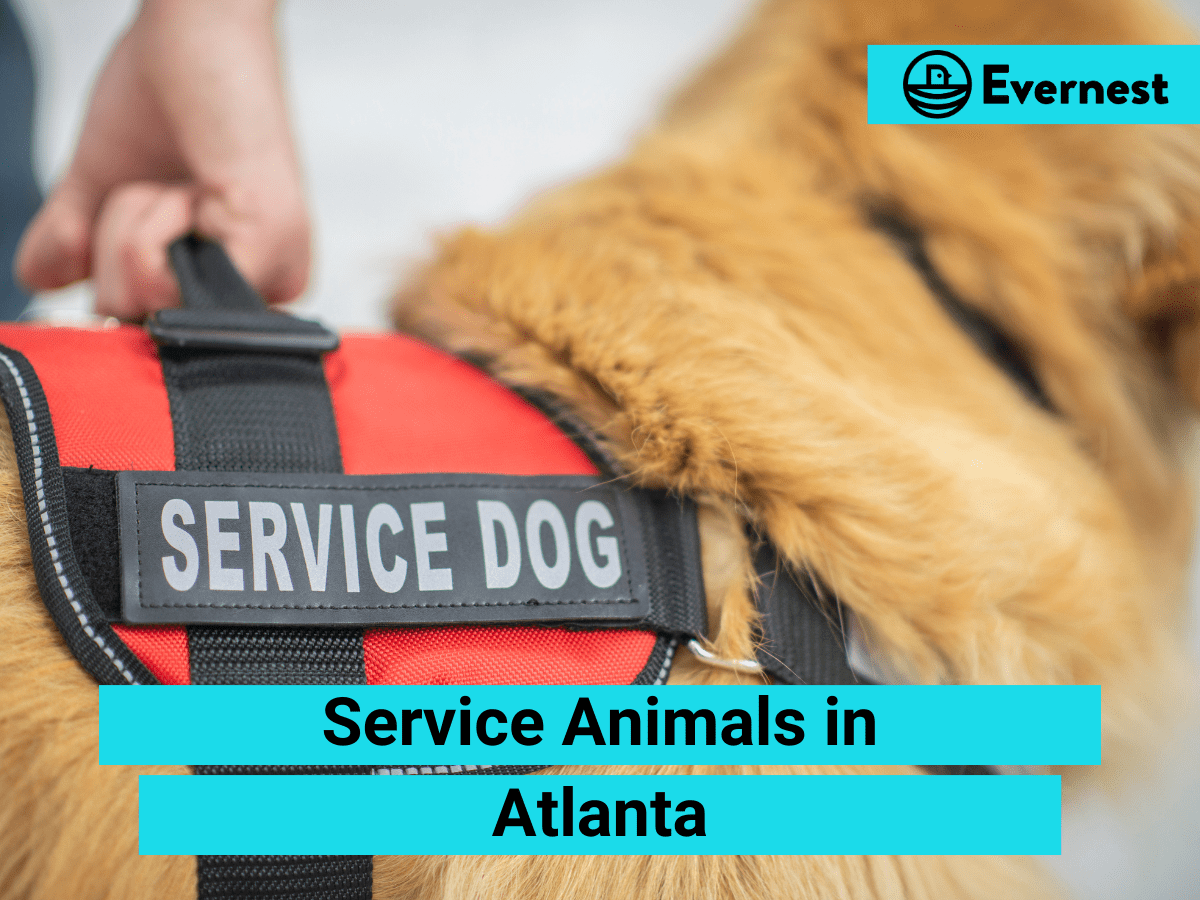 Service Animals: Everything Landlords Need to Know in Atlanta, Georgia